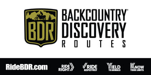BDR Victory Flag